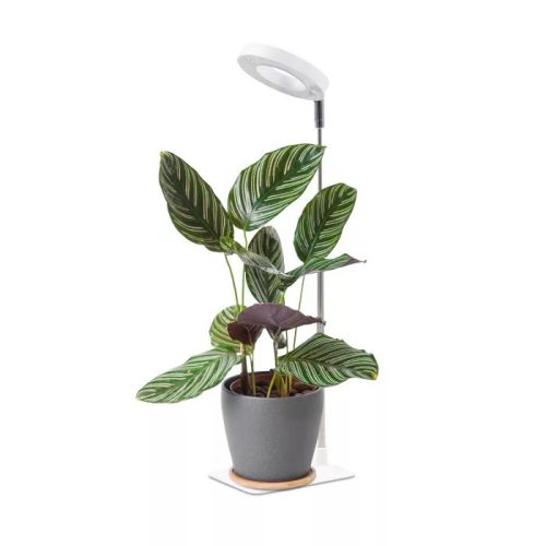 Kobi LED VERDI V2 5W 1300K állítható magasságú, USB, növénynevelő lámpa időzítővel 