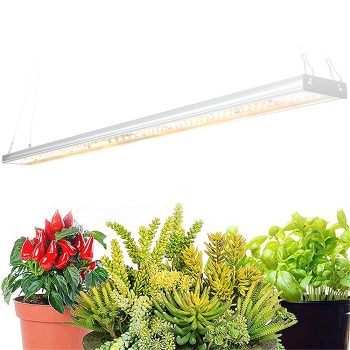 Növényvilágítás